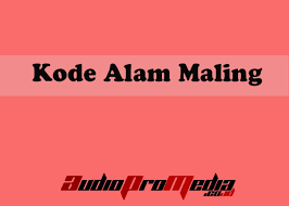 Untuk mengolah jamur pun sangat mudah dan praktis berbeda jika ada melihat jenis tanaman yang tidak baik. Kode Alam Maling Terpercaya Menurut Erek Erek 2d 3d Dan 4d