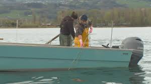 Porn elisa brandani like I experienced before, very