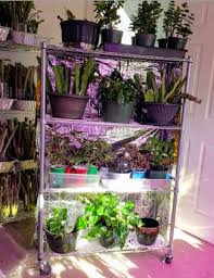 Honestly, i never thought i had this problem until i watched if you went out there to purchase your own greenhouse shelves you would probably discover a couple. Diy Portable Indoor Greenhouse And Tips So Easily Distracted