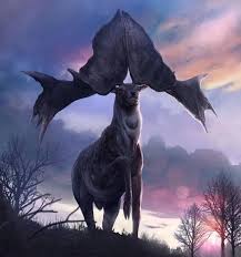 Image result for Aneulophus