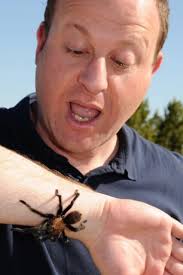 Colorado has it all! Yesterday, we took the family and enjoyed Tarantula  Tourism in Otero County. We walked around for an hour at Comanche National  Grassland near La Junta. The kids loved