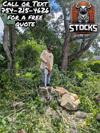 Image result for mookdfjlal