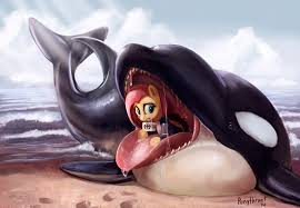 We did not find results for: 431549 Animal Artist Ponythroat Beach Derpibooru Import Drool Fetish Flutterprey Fluttershy Medkit Mouth Open Mouth Orca Questionable Tongue Out Veterinarian Vore Wetsuit Willing Vore Twibooru