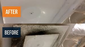 How To Clean Mold From Ac Vents Cleaning Mold From Hvac Vent Youtube