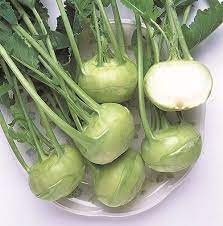 Grand Duke Improved F1 Vegetable Seed Growing Vegetables Kohlrabi