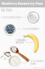 Dogs And Blueberries The Good Bad And The Berry Darwin S Natural Pet Products Darwin S Pet Food
