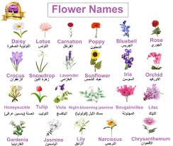In this lesson, we will discuss 30 most common flower names in english with urdu meanings. Learning Arabic Msa Fabiennem Flower Names Flowers Learning Arabic