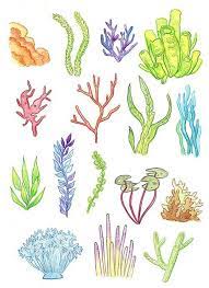 Coral reef 4. by donna maloney. Easy Way To Draw Coral Reefs Page 5 Line 17qq Com