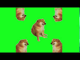 Escape from your crippling depression with some memes. Cheems Doge New Different Green Screen Video Meme Template Viral Trending Youtube