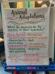Animal Adaptations Anchor Chart 3rd Grade Adaptations Anchor Chart Science Anchor Charts Animal Adaptations Anchor Chart