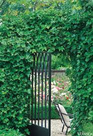 Secret Garden Gartendesign Ideen Franzosischer Garten Garten