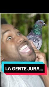 La Influencia de las Drogas en el Lenguaje y el Comportamiento