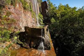 We did not find results for: How To Find The Secret Trough Waterfall In Woy Woy Walk My World