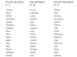 (greek) greek goddess of wisdom and war. How To Choose Best Cat Names Male Cat Female Cat We Love Cats
