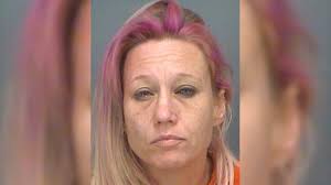 Safety Harbor woman runs out of gas, steals someone else's car, police say