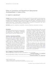 Image result for Pentarrhinum abyssinicum