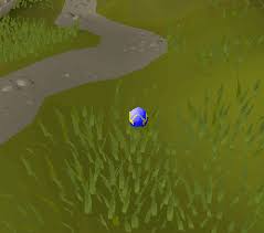 Easter Ring | Old School Runescape Wiki | Fandom