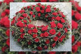 We did not find results for: Sadness Comfort Here You Read All About Flowers