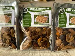 Image result for Hunteria umbellata