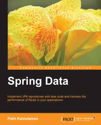 Spring data jpa and your persistence provider don't adjust the query to your database's specific sql dialect. Spring Data Packt