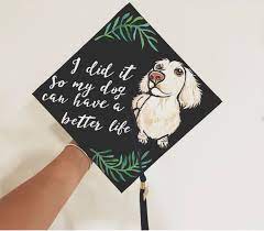 I Did It So My Dog Can Have A Better Life Weiner Dog Graduation Cap With Greenery Leave Graduation Cap Painted Graduation Cap College Graduation Cap Decoration