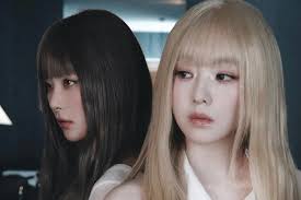 Red Velvet's Joy Charms Lee Kwang Soo With Giraffe Lunch Box