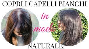 Moisturizes hair & makes it silky. Dye Your Grey Hair Naturally Using Henna Herbal Hair Colors Beautilicious Delights