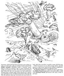 Coloring Pages First Edition Coloring Pages Nature Coloring Pages Color