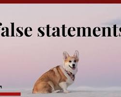 Image of person ordering pet food online