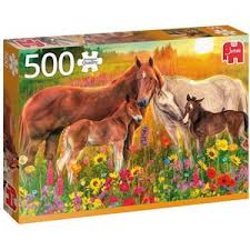 We did not find results for: Jigsaw Puzzles Horses 500 Pieces