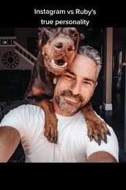 Showing the difference between posing and reality. Ruby has been in front  of my camera since she was a puppy and knows how to pose and get that  majestic chiseled look. The other pictures are the true ...