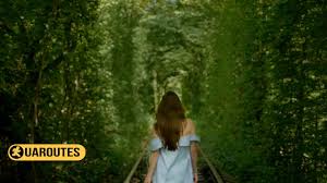 Де як не у нас ви можете зупинитися і насолодитися. Yidemo Kohatisya Tunel Kohannya V Klevani Love Tunnel Yak Doyihati Sho Vzyati Youtube