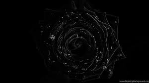 Maybe you would like to learn more about one of these? 4k Ultra Hd Uhd 3840x2160 Black Rose Wallpapers And Desktop Desktop Background