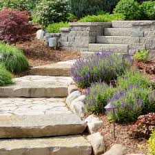 Even the smallest front yard will look welcoming and tidy when you take this approach. Eco Friendly Drought Tolerant Lawn Alternatives