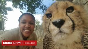 Menghina dengan sebutan binatang kepada sesama muslim, selain itu termasuk dosa besar, perbuatan itu juga tentu berakibat negatif pada. Covid 19 Dan Dampak Ekonomi Kisah Pekerja Kebun Binatang Yang Memilih Merawat Hewan Tanpa Digaji Walau Sudah Dipecat Bbc News Indonesia