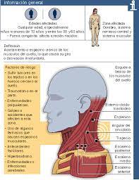 Maybe you would like to learn more about one of these? Elmundo Es Salud Fichas De Enfermedades Torticolis