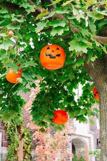 DIY Outdoor Halloween Decor: Floating Pumpkins in a Tree - The ...