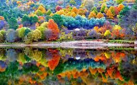 Beautiful Autumn Scenery Wallpaper Autumn Scenery Landscape Wallpaper Scenery Wallpaper
