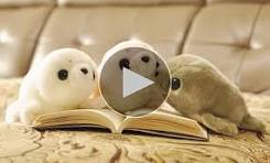 Amazon.com: 8 Inch Sea Lion Plush Toys Seal Stuffed Toys ...