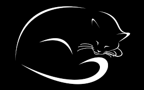 Wallpapers Cats Vector Graphics Black Background Animals Image 184062 Download Risunki Koshachi Oboi Tatuirovki S Koshkami