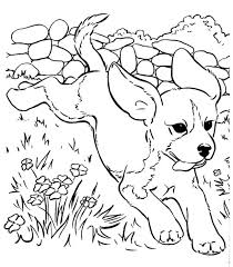 Flowers for girls, nuts for boys. Animal Templates Free Premium Templates In 2021 Puppy Coloring Pages Animal Coloring Pages Dog Coloring Book