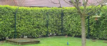 W Hoelbing Katzengarten Katzenzaune Katzennetze Gartengestaltung Dienstleistungen Katzenzaun Katzengarten Katze Zaun Gartengestaltung