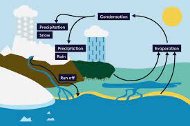 More images for water cycle pictures » Why Is The Water Cycle Important Encounter Edu
