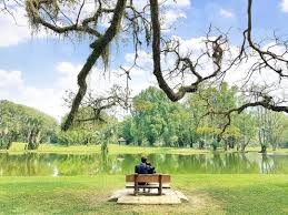 Ball field and outdoor rink lighting will typically follow the open hours of the rec centre. These 5 Picture Perfect Parks Gardens In Malaysia Will Inspire You Tatler Malaysia