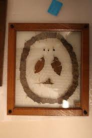 Image result for Mimusops kummel