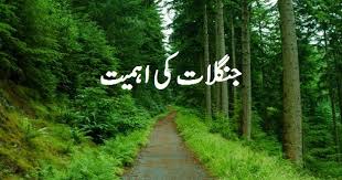 Shajar Kari Essay In Urdu More About Shajar Kari Essay Students who are looking for shajar kari essay in urdu mazmoon can download from this website.