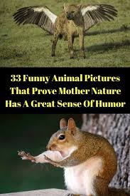 33 Funny Animal Pictures That Prove Mother Nature Has A Great Sense Of Humor Funny Animal Pictures Animal Pictures Funny Animals