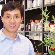 Zeng Lab at UNL (@LZ3_UN)