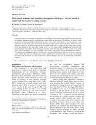 Their risk of having cervical cancer is so low, on. Pdf Male Camel Behavior And Breeding Management Strategies How To Handle A Camel Bull During The Breeding Season