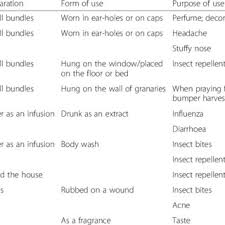 Image result for Buchnera buchneroides